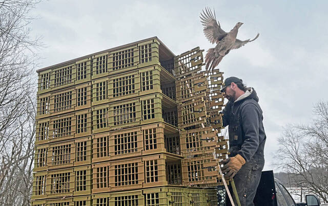 Slide 
													
													7