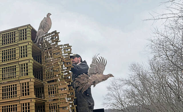 Slide 
													
													6