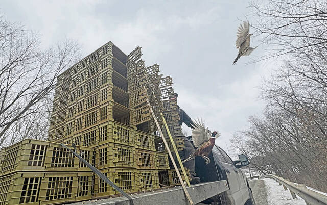 Slide 
													
													2