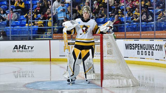 9288131_web1_ptr-pensmurashov-021326