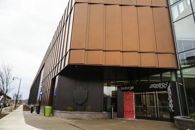 Slide 
													
													3