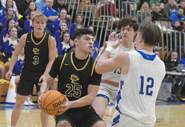 Deer Lakes boys get physical, drop section champ Derry in Class 4A 1st round