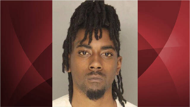 Wilkinsburg man gets double life terms for killing woman and daughter, 4