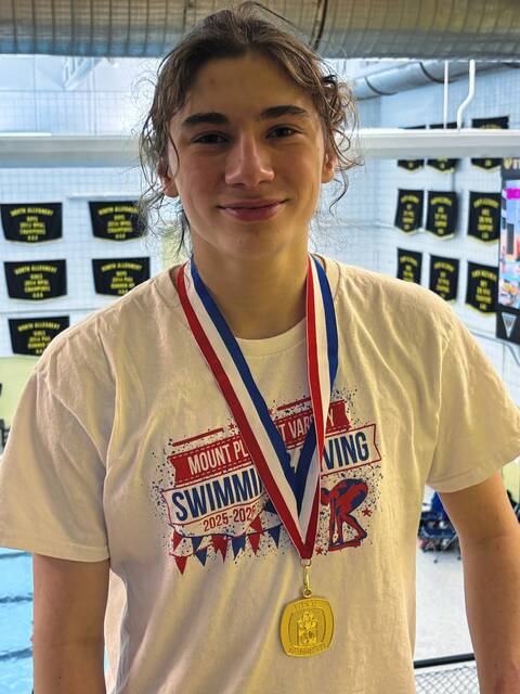 Mt. Pleasant’s Noah Lahm captures WPIAL Class 2A diving gold
