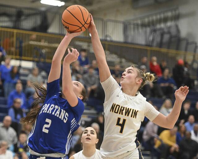 Norwin girls, behind career night from Lenyn Brozeski, race past Hempfield and into girls semifinals
