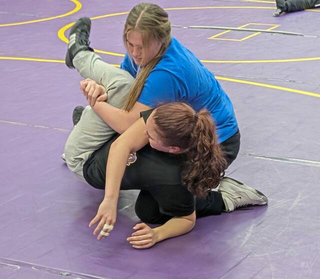 Kiski Area, Plum wrestlers looking to join 1st class of 3-time WPIAL girls champs