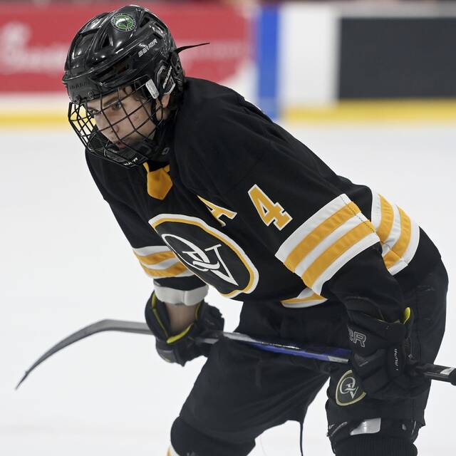 PIHL standings, playoff clinchings through Feb. 22, 2026