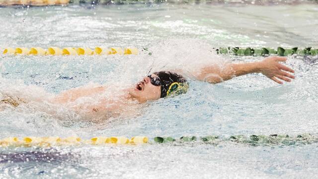 Westmoreland County campus clips: Hempfield grad stars in pool for Saint Vincent at PAC meet
