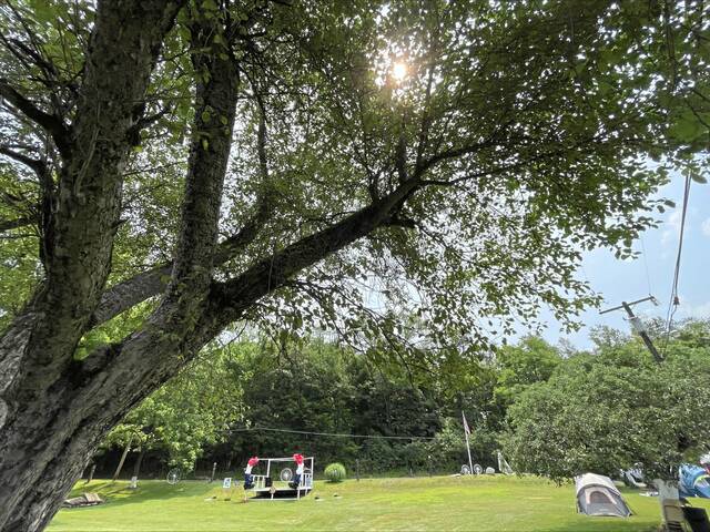 Slide 
													
													2