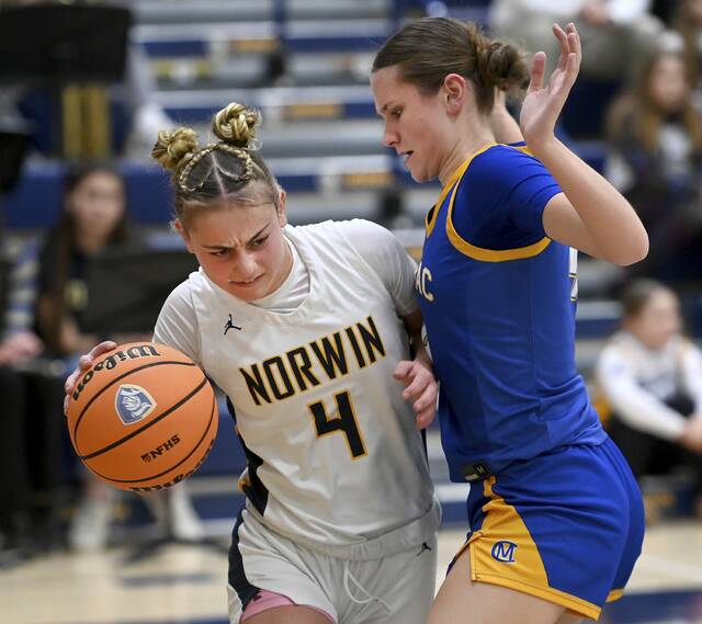 Norwin, Canon-McMillan ready to grind it out in WPIAL championship game