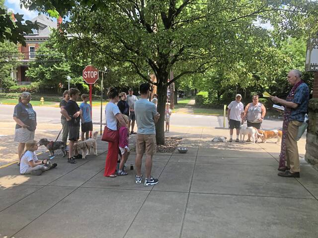 Slide 
													
													8