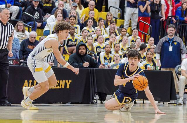 Fox Chapel Herald notebook: Shady Side Academy boys headed to state tournament
