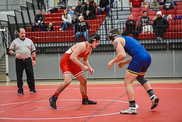 Fox Chapel grad finds success as freshman on Washington & Jefferson mats