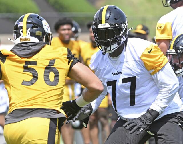 Slide 
													
													11