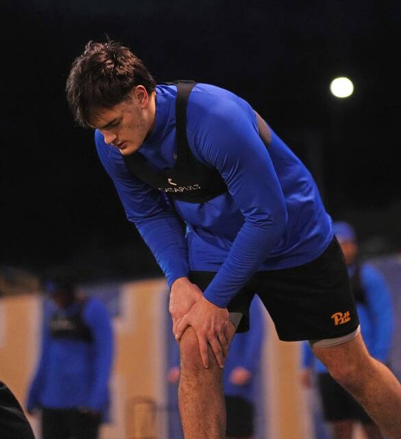 New Pitt tight ends coach Brent Davis seeks versatility among his position group