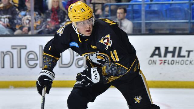 Penguins recall forward Filip Hallander from conditioning loan