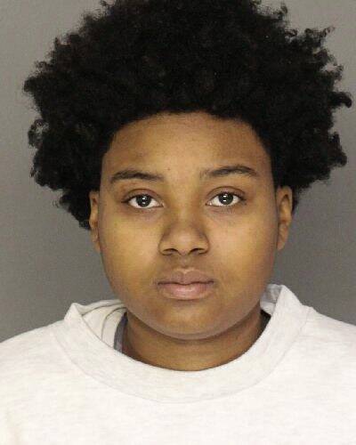 Police: Woman rammed cruiser, nearly struck police dog before North Side crash