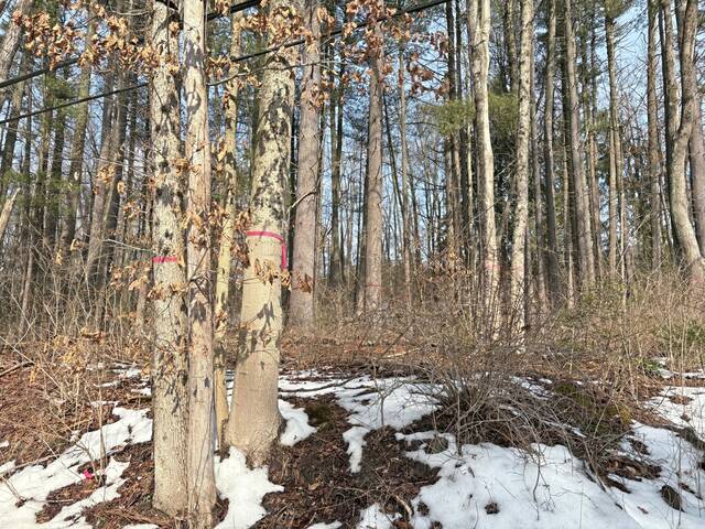 Shady Side Academy officials amend proposed entrance plans; review underway