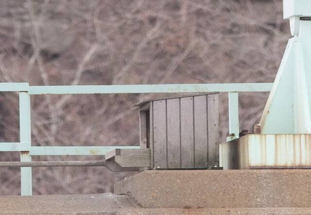 Slide 
													
													3