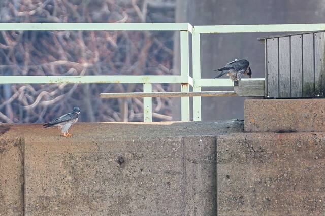 Slide 
													
													2