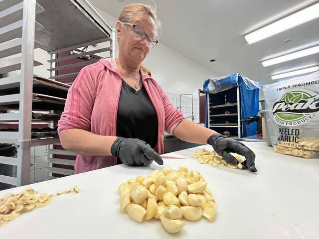 Slide 
													
													2