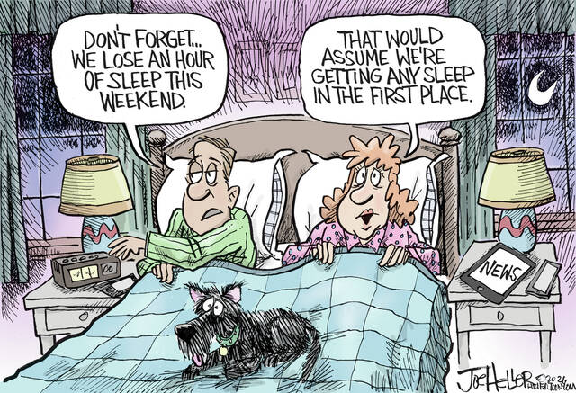 Slide 
													
													6