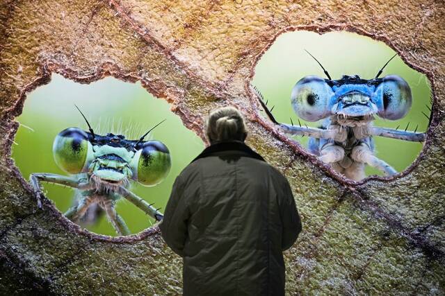 Gallery: Around the world or close to home, the world in focus on March 18, 2026