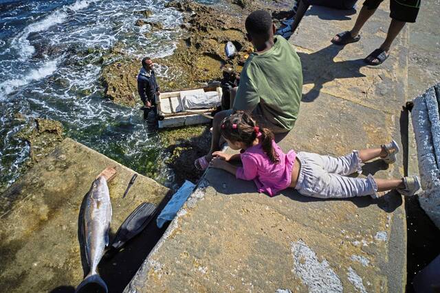 9347999_web1_ap26081658587312