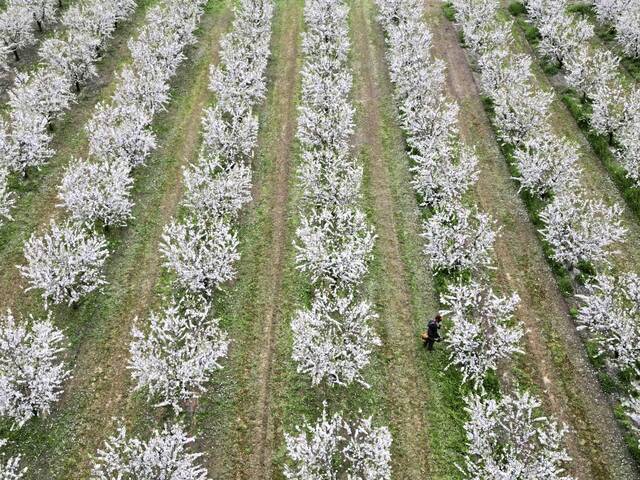 9348001_web1_ap26082508973367