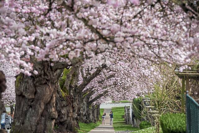 9348001_web1_ap26082770073594