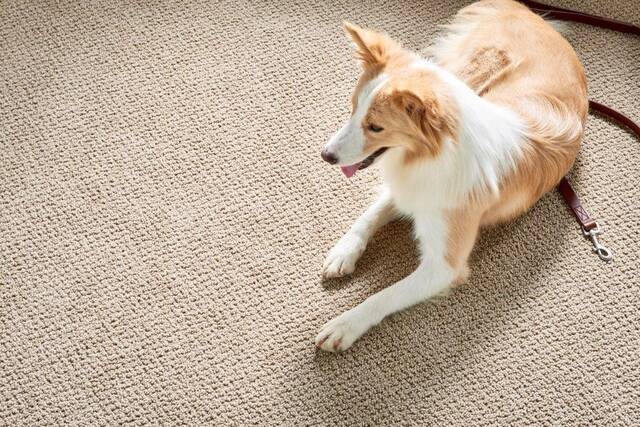 Slide 
													
													7