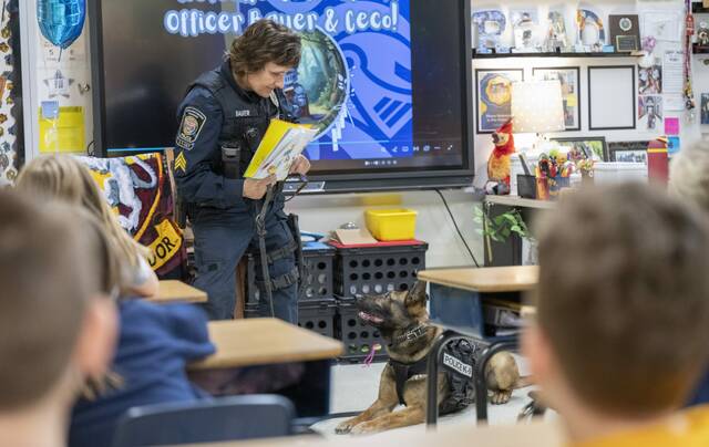 Slide 
													
													3