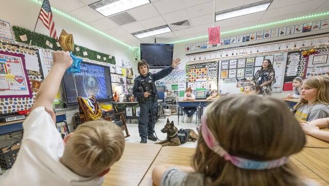 Slide 
													
													2