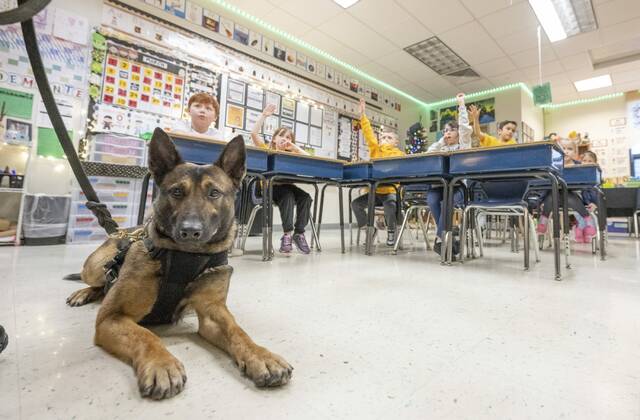 North Huntingdon police welcome new Belgian Malinois K-9