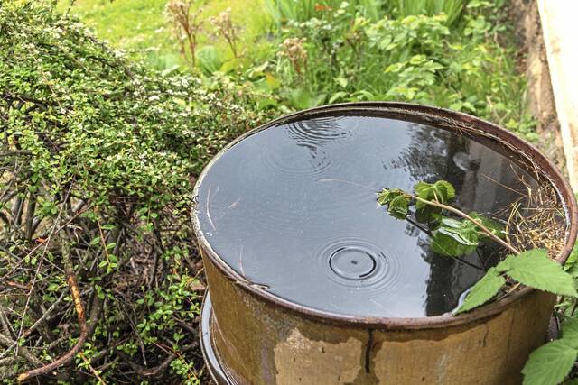 Murrysville council works to shape credit program for stormwater fees