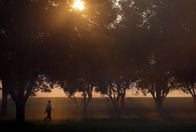 Slide 
													
													3