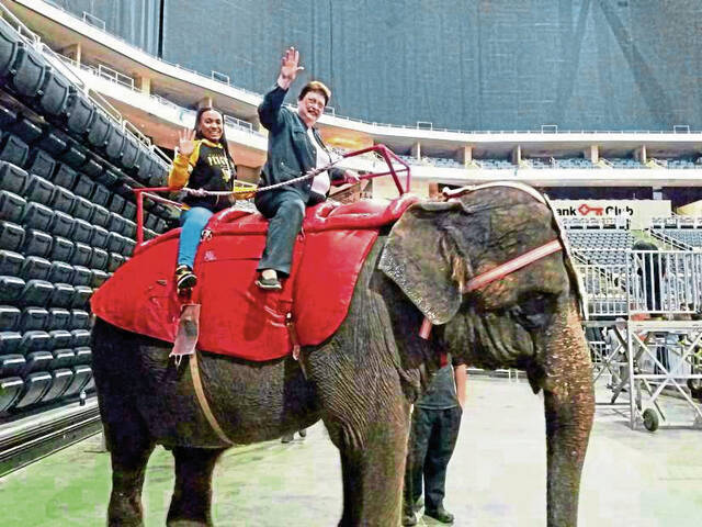 Slide 
													
													3