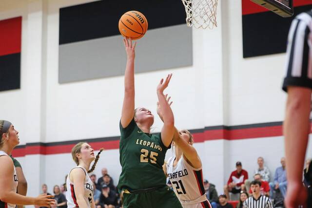 Belle Vernon girls basketball team gets 1st PIAA win in decades