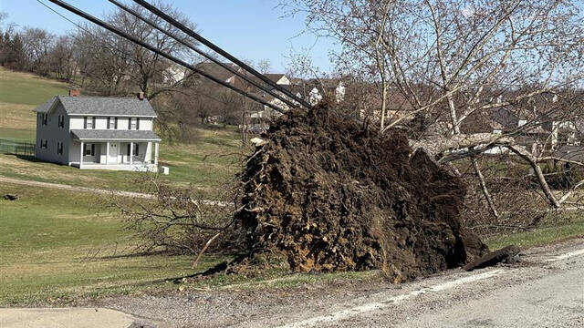 Wind-related power outages clearing up as temperature record broken
