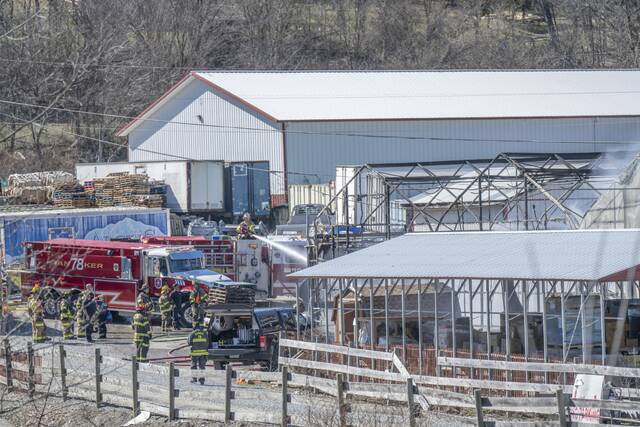 Slide 
													
													2