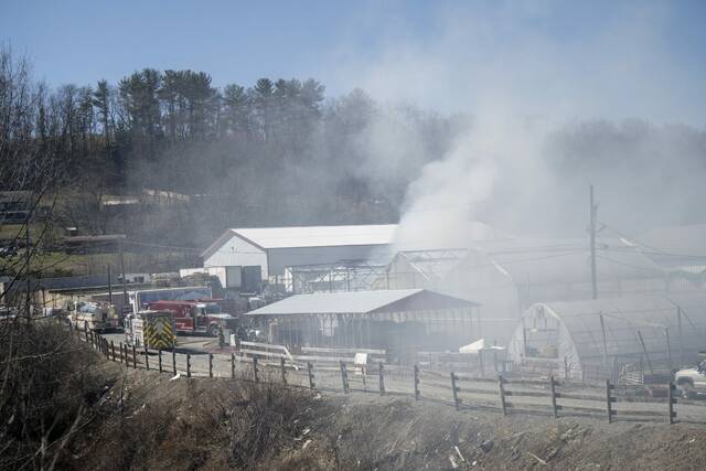 Slide 
													
													3