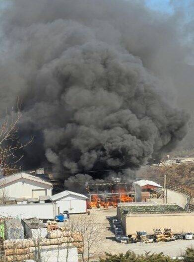 Fire damages greenhouses at 380 Auction in Murrysville