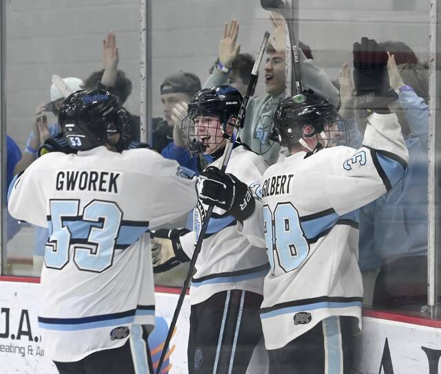 Defending champ Seneca Valley, OT winner Peters Township to meet in 3A Penguins Cup final