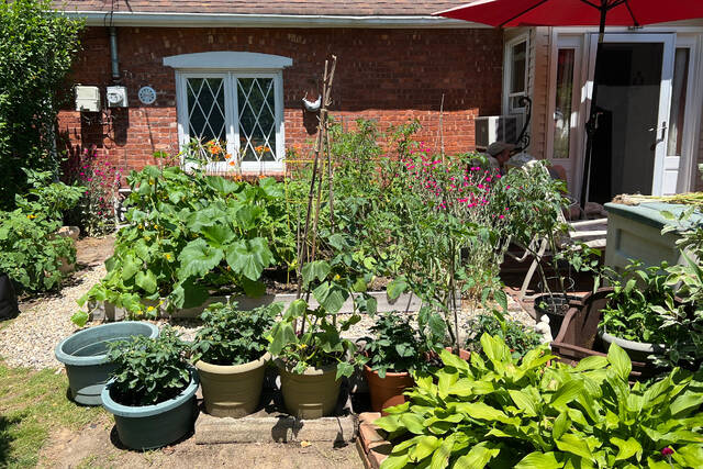 Nobody said vegetable gardens must be in the backyard. Put them out front if it’s sunny