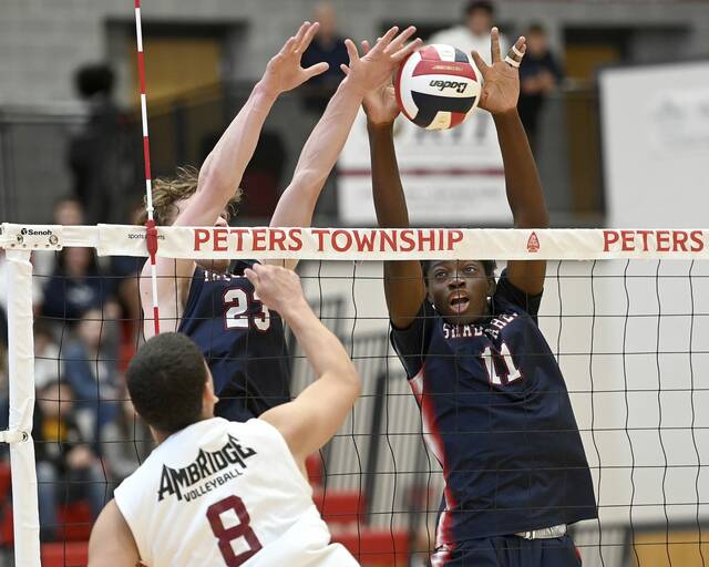 By staying flexible, Shaler aims to contend for more boys volleyball gold