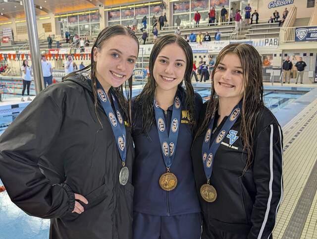 WPIAL trio climbs medals podium at PIAA Class 3A girls diving championships