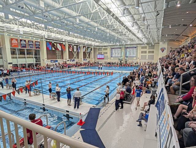 Several WPIAL swimmers in medal contention at PIAA Class 2A swimming championships