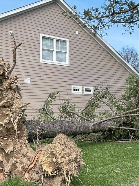 About 116,000 still without power after wind storm downs trees, power lines. Help is on the way.