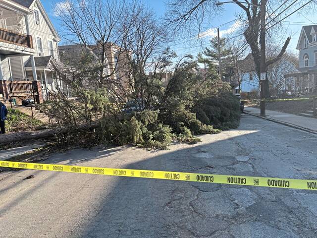 Nearly 180,000 still without power after wind storm downs trees, power lines. Help is on the way.