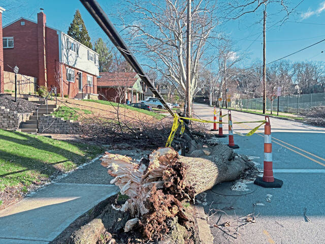 More than 48,000 in region still without power